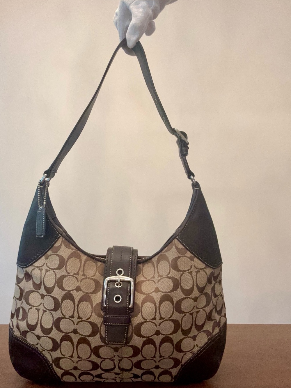 Coach Signature Canvas Hobo Bag in Brown